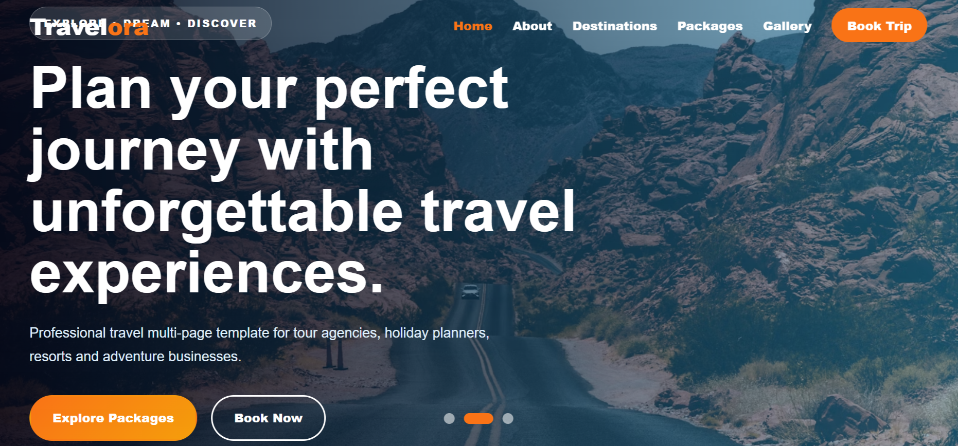 Travel - Multipage Template Download