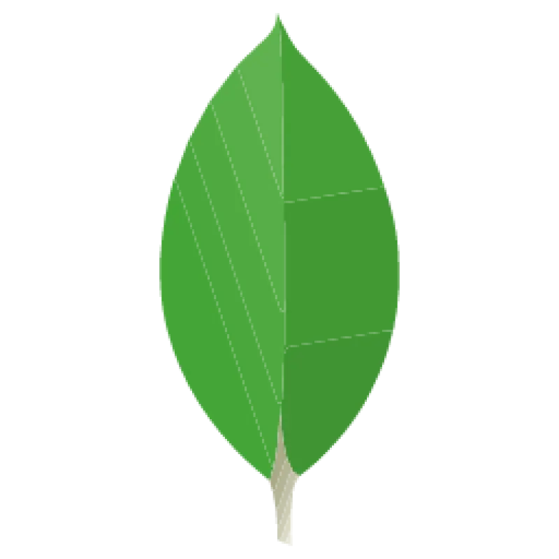 MongoDB